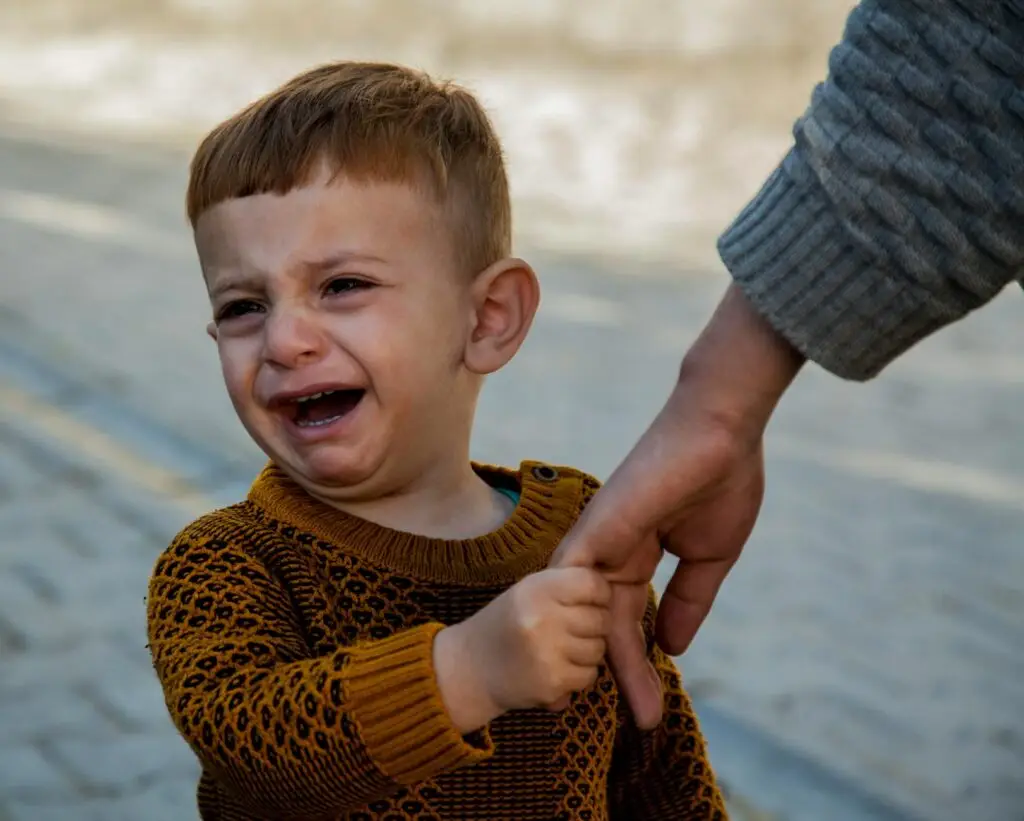 5 étapes pour gérer les crises sans crier A crying toddler in a sweater holds an adult's hand outdoors, expressing emotion.